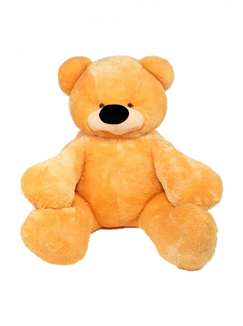 Teddy Bear PNG Image -Transp
