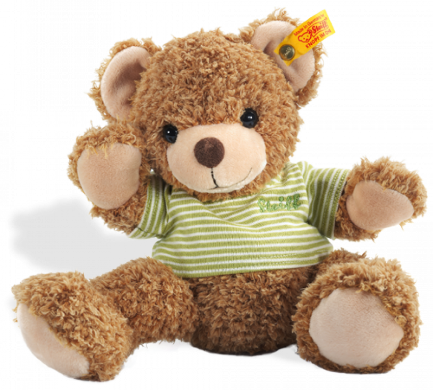 Valentine's Teddy Bear PNG I