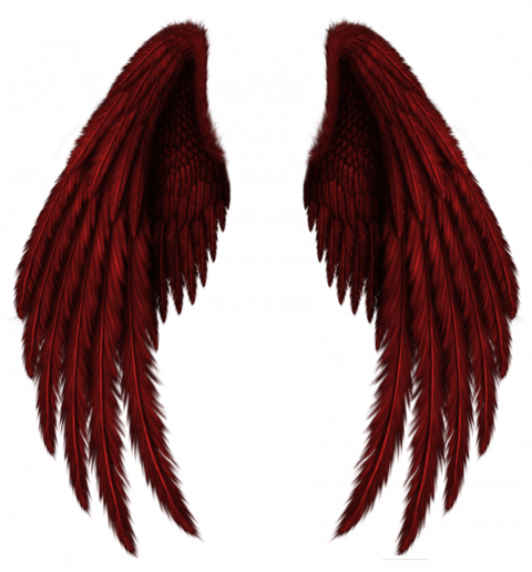 Colorful Angels Wings PNG -