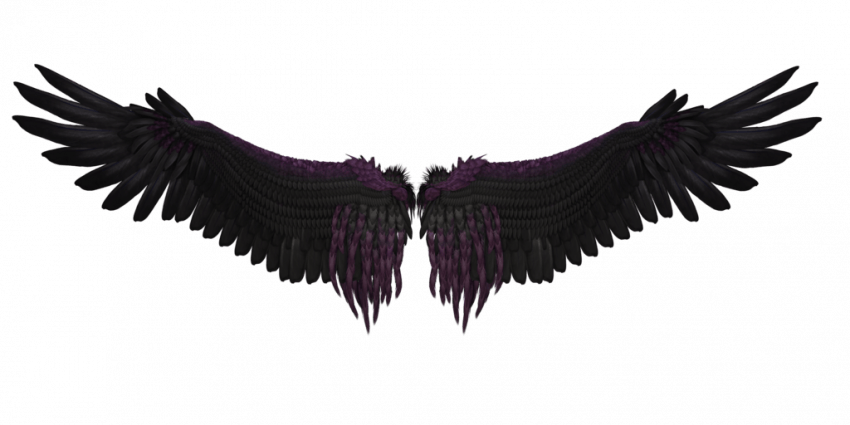 Black Angels Wings PNG - Tra
