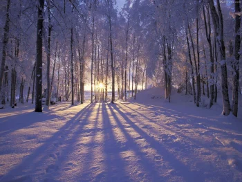 Winter HD Wallpapers Nature
