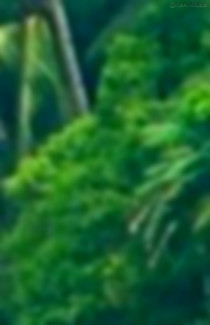 New Blurred CB Background Pi
