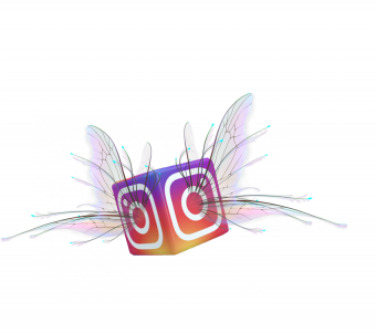 Instagram Flying Wing PNG Ve