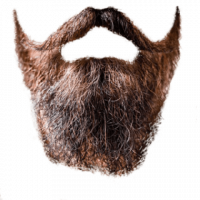 Real Brown Beard PNG Clipart