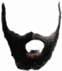 Real Beard PNG Clipart - Tra