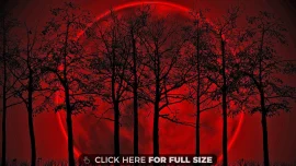 Blood Moon HD Wallpapers Spa