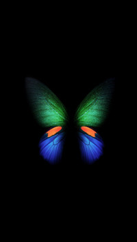Butterfly Super Amoled Wallp