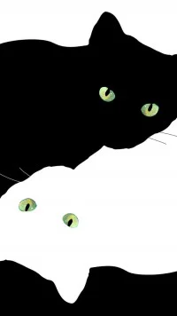 Cartoon Cat Mobile Wallpaper