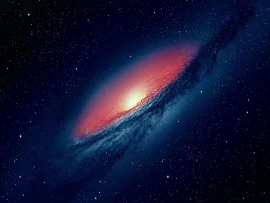 Cosmos HD Wallpapers Nature