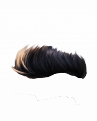 Hair PNG Hd Transparent Imag