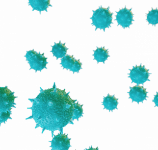 3D Coronavirus PNG - Transpa