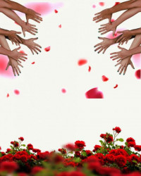 Hands Happy Valentine's Day