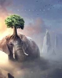 Viral Instgram Elephant Tree