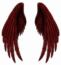 Colorful Angels Wings PNG -