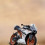 Bike CB Editing Background HD PicsARt Photpshop
