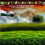 15 August Editing background HD - Independence day (19)