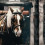 Vijay mahar horse Editing PicsArt Background HD 13