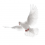 White Pigeon PNG Transparent Image HD Vector (13)