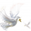 White Pigeon PNG Transparent Image HD Vector (23)