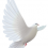 White Pigeon PNG Transparent Image HD Vector (25)