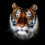 Tiger Black Amoled Wallpaper 4k Ultra HD