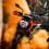 CB KTM DUke Bike Editing Background HD
