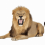 African Lion Sitting Vector PNG