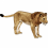 African Lion HD PNG Silence