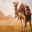 Faisul_07 Camel Dubain Editing PicsArt Background HD