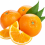 Cut Orange Pieces PNG Vector Image HD (10)