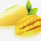 Sliced Mango Pieces PNG Vector PNG (1)