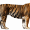 Standing Tiger PNG - Cheetah (5)