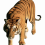 Tiger PNG - Cheetah (5)