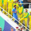 Indian Cricketer Virat Kohli Entering HD Photo | Pics