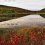 Acadia National Park HD Wallpapers Nature Wallpaper Full