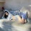 Alexandra Daddario Wallpaper Full HD Download for free | Picture Photo WhatsApp DP Image Ultra 4k