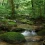 Amazon Rainforest HD Wallpapers Nature Wallpaper Full