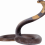 Giant Anaconda Snake PNG - Transparent Image Full HD