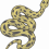 Anaconda Snake PNG - Transparent Image