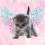Angel Cat Wallpapers Full HD 4k Background
