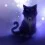 Anime Black Cat Wallpapers Full HD Latest Wallpaper