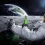 Astronaut HD Wallpapers Space Nature Wallpaper Full