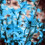 Beautiful blue colour leaf CB Picsart Editing Background Full HD