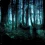 Black Forest HD Wallpapers Nature Wallpaper Full