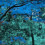 Blue red tree CB Picsart Editing Background Full HD
