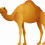 Camel PNG - Transparent Image