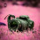 Canon camera on reddish pink colour ground CB Picsart Editing Background Full HD
