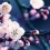 Cherry Blossoms HD Wallpapers Nature Wallpaper Full