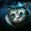 Creepy Cat Wallpapers Full HD Download Wallpaper
