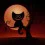 Creepy Cat Wallpapers Full HD Download Background